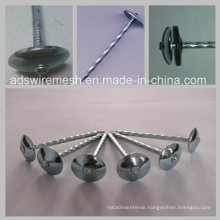 Bwg8 2.5′′ Twisted Shank Umbrella Head (ISO9001)